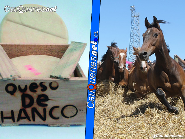 Chanco prepara la Feria del Queso y Pelluhue La Trilla a Yegua Suelta