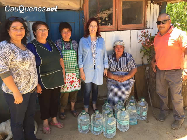 if-afectan-aartistas-maule-02-cqnet