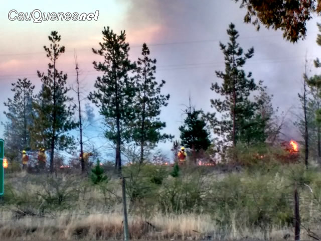 Declaran Alerta Amarilla para Cauquenes por Incendios Forestales