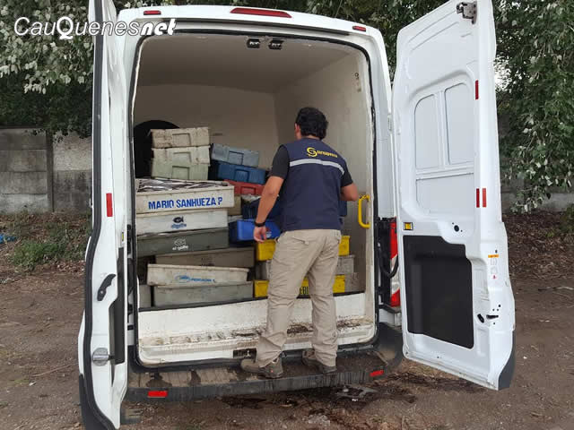 Con persecución policial logran incautar casi 3 toneladas de merluza ilegal en el Maule