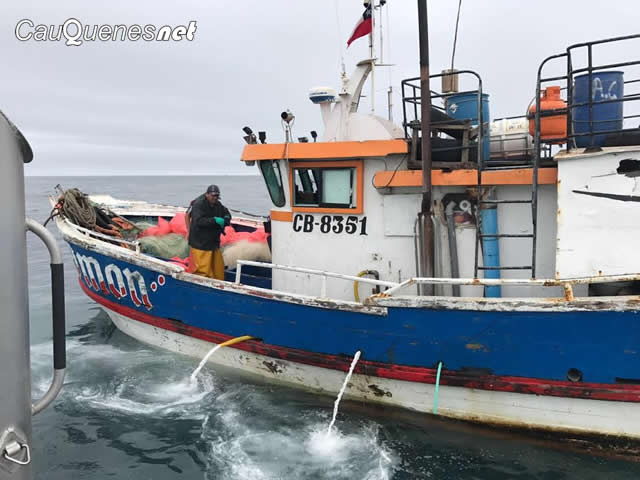 La Armada y Sernapesca sorprenden a embarcaciones del Biobío pescando reineta en aguas del Maule