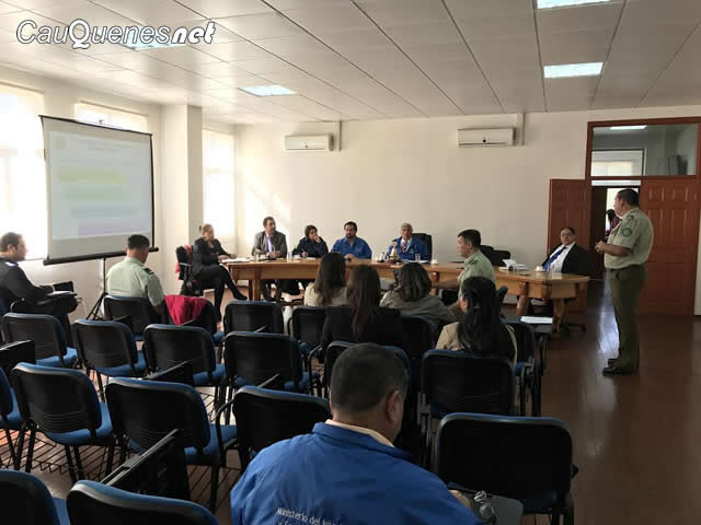 En Cauquenes conforman Comité de Seguridad Pública comunal