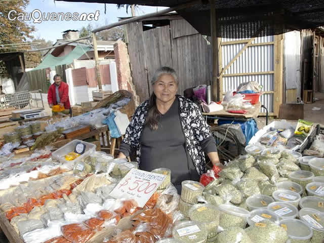 FE Eliana Huemur de Constitucion 01-cqnet