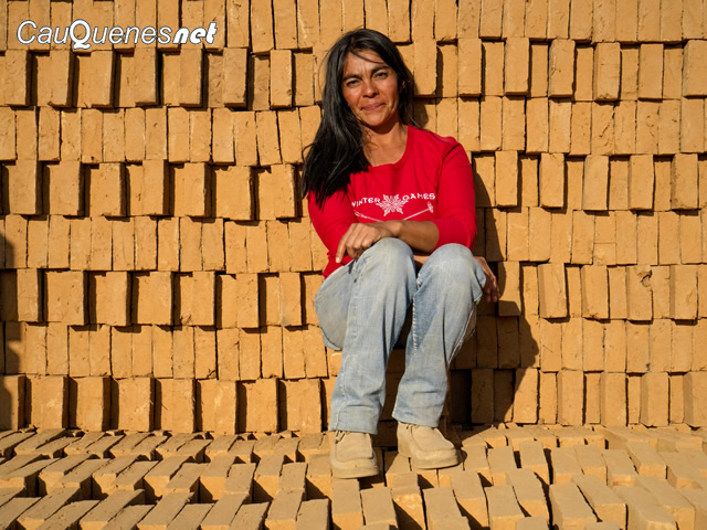 FE Rosa Norambuena ladrillos fiscales cauquenes 01-cqnet