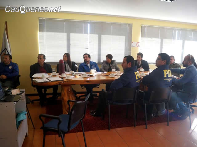 pelluhue consejo seguridad televigilancia 01-cqnet