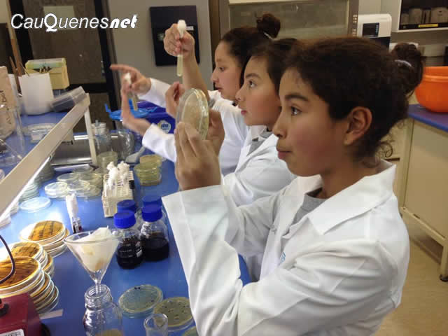 UTALCA Congreso ciencia escolar 02-cqnet