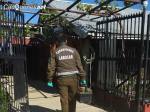 Carabineros investiga muerte de anciano en cauquenes 13oct17 01-cqnet