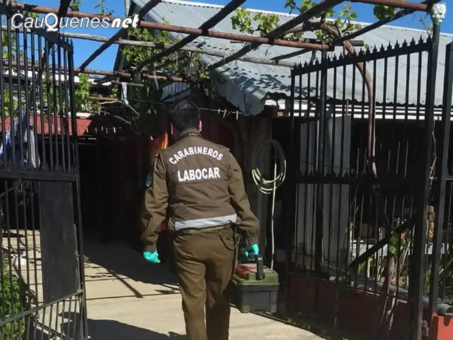 Carabineros investiga muerte de anciano en cauquenes 13oct17 01-cqnet