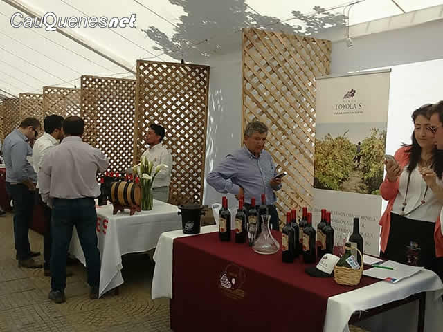 Fiesta vino pais 2017 cauquenes 01-cqnet