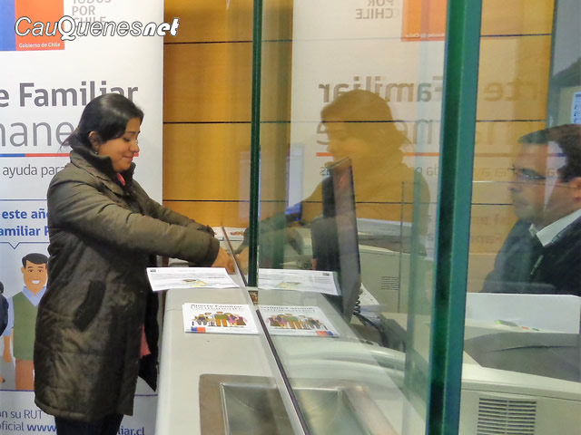 IPS aporte familiar permanente 01-cqnet