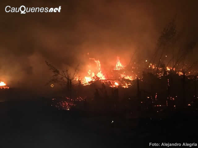 IF cabreria cauquenes 06ene18 01-cqnet