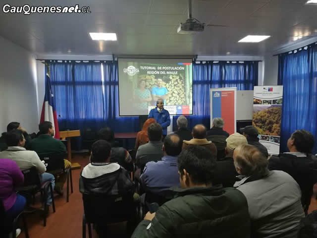 Cauquenes: Gobierno hace llamado a postular al Programa “Más Leña Seca 2018”