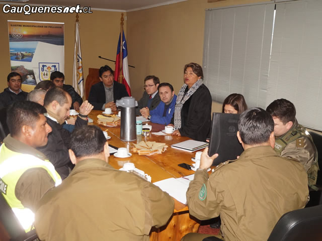 En Pelluhue coordinan medidas seguridad 2018 01-cqcl