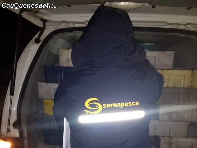 Sernapesca incauta 2 toneladas de productos 01-cqcl