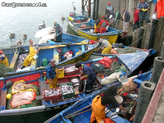 Pesca Artesanal 01-cqcl.png