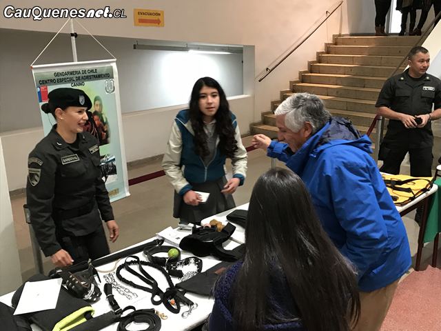 Concejo comunal de Cauquenes aprobó Plan de Educación Municipal 2019