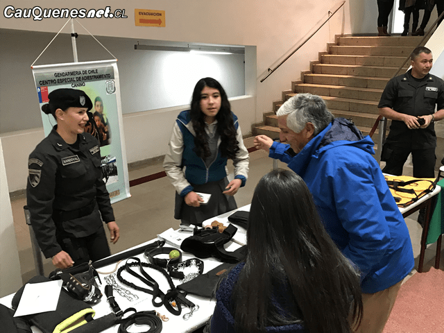 Municipio Padem Cauquenes 2018 01-cqcl