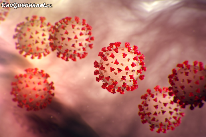 ¿Cuánto cuesta el test de #coronavirus?