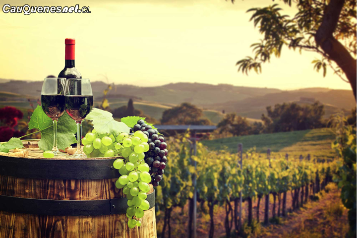 ¿Dónde está la capital del vino en Chile?