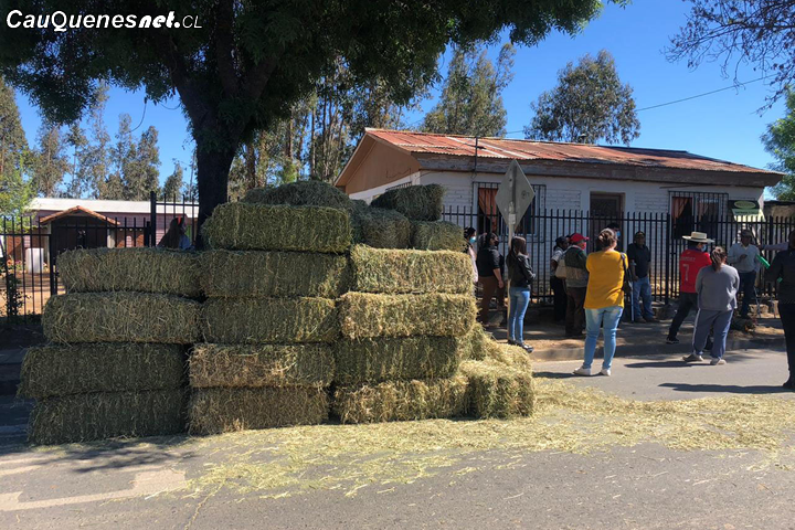 Entregan más de 600 fardos en sectores rurales de Cauquenes