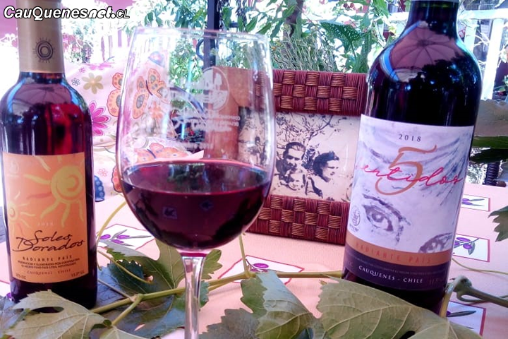 Vinos cauqueninos de Mevipacoop estará en la Pulpería Echinuco de Parque Arauco