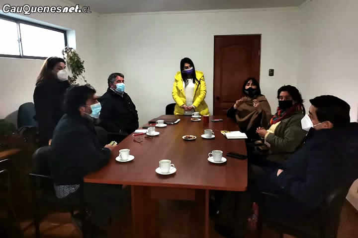 Coordinadora contra Torres de Alta Tensión en #Cauquenes se reunió con Gobernadora Regional