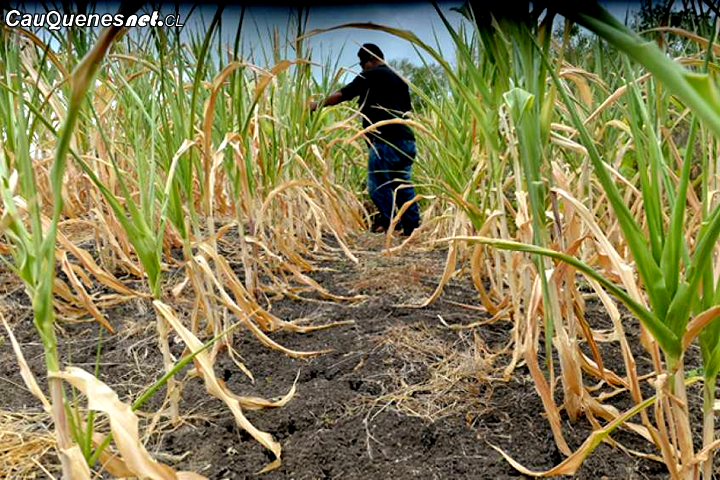 «Agricultura en alerta roja: no hay agua, no hay gente, no hay insumos»