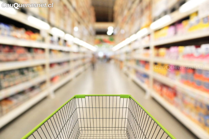 Hogares chilenos gastan más de 1 millón 400 mil pesos en promedio al mes: el 21,2% de ese monto es para alimentación