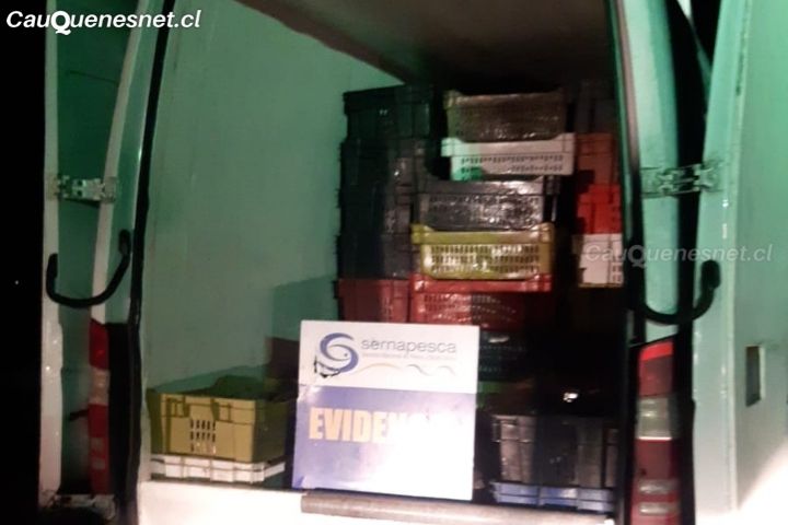 Más de 3 toneladas de jurel fresco fueron incautados por Sernapesca en #Maule
