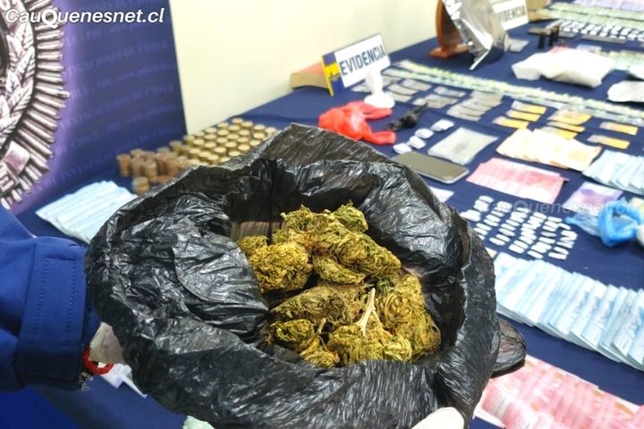 La PDI incautó más de un millón de gramos de Marihuana durante el 2021 en el Maule