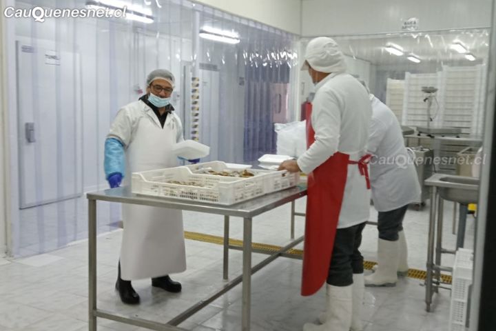 Fondos Pesca Artesanal: Últimos días para optar a financiamiento de proyectos de fomento productivo