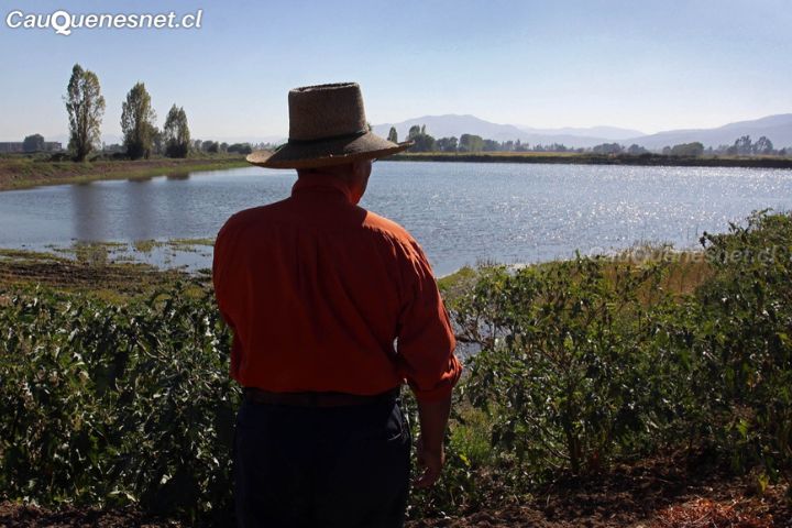Ministerio de Agricultura ingresa indicación sustitutiva a proyecto de modificación de Ley de Riego&nbsp;&nbsp;