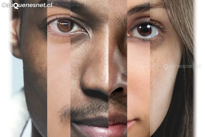 Mestizaje, racismo anti-indígena y plurinacionalidad