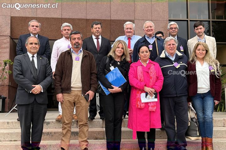 Senadores independientes abordan urgencias para avanzar en proceso constitucional