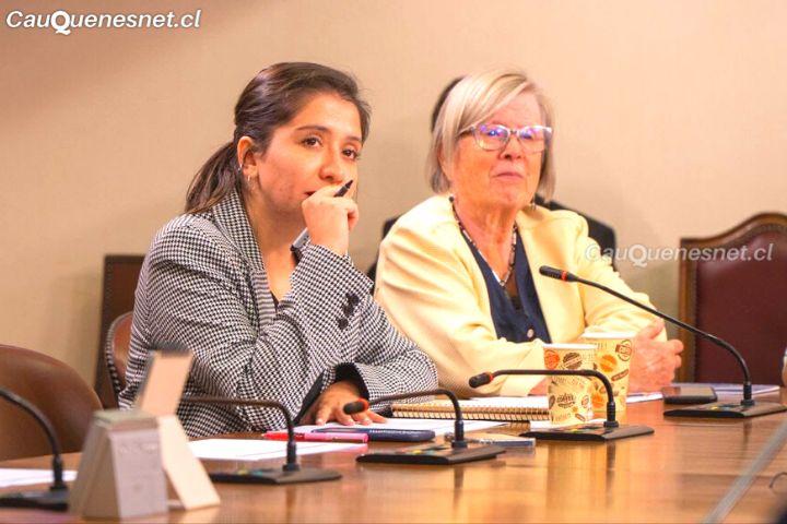 Diputadas Veloso y Bulnes exigen inmediato nombramiento de Seremi de Desarrollo Social tras cuatro meses de vacancia