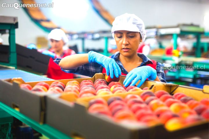 Mujeres: las más afectadas por la débil estructura del mercado laboral