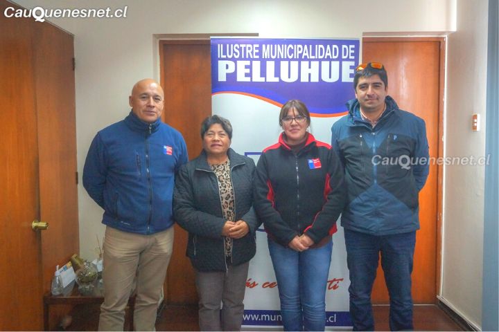 Pelluhue contará con cuatro nuevos puentes
