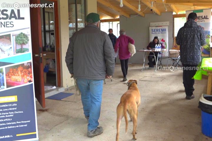 Municipio de Cauquenes calificó de exitoso operativo de vacunación de perros en Name para prevenir la Hidatidosis
