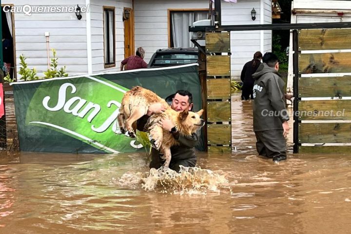 Constitución: Carabineros evacuó a 10 familias por desborde de estero