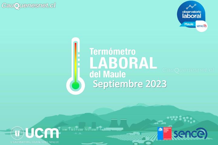 Termómetro Laboral: ocupación alcanzó el 51,9 por ciento en la Región del Maule