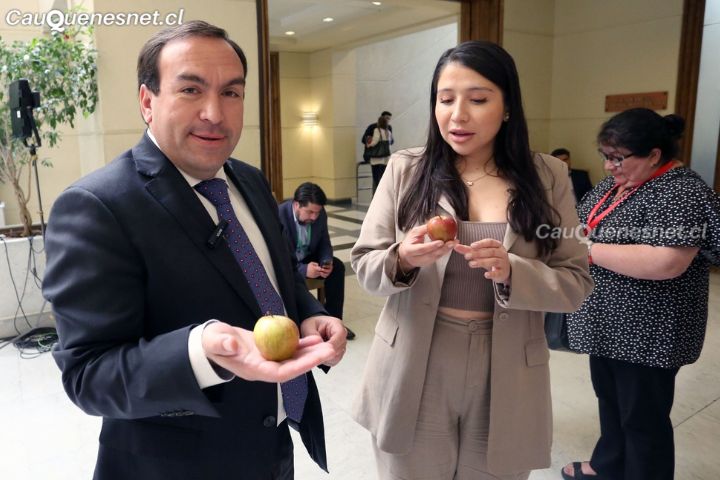 Diputados denuncian malas condiciones laborales de manipuladoras de alimentos y falla en entrega de alimentos para niños