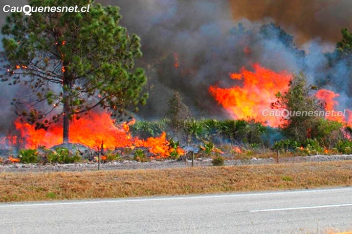 Académica UCM: “El cambio climático está creando un entorno más propicio para la propagación de incendios”