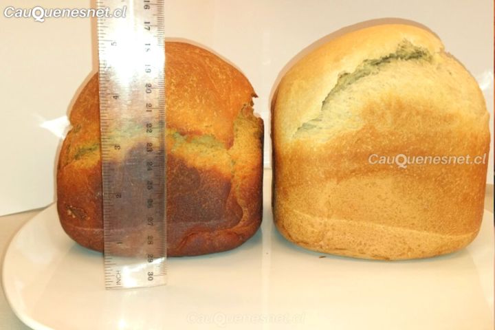 Comprueban que pan con harina de porotos disminuye niveles de glucemia en personas mayores