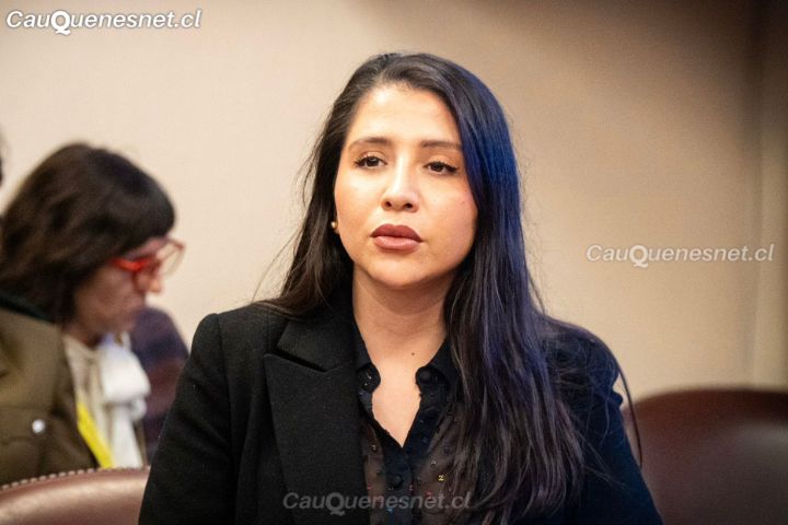 Diputada Consuelo Veloso ofició a la Dirección Nacional de Vialidad por la pavimentación de rutas rurales de Cauquenes