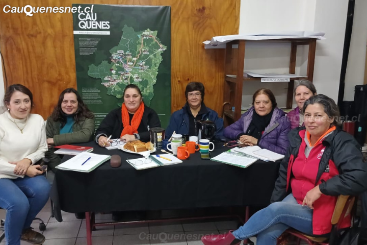 Hoy se desarrolla la Primera Feria Mujeres y Vino en Cauquenes