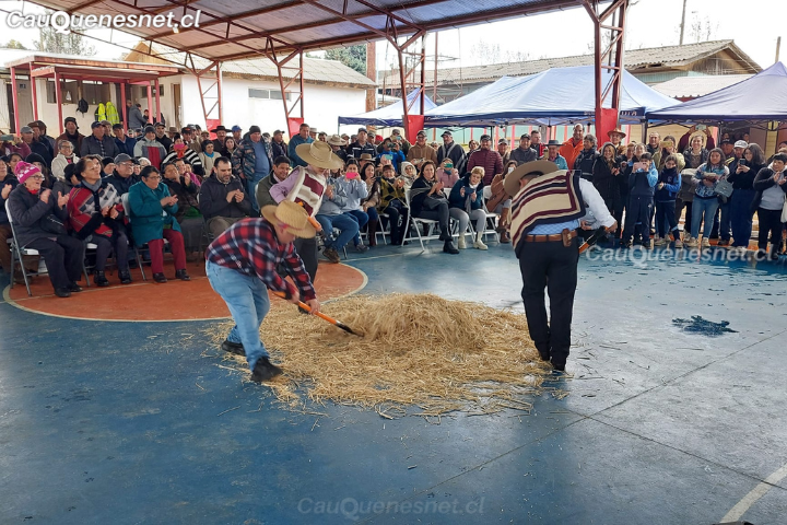 Con gran éxito finalizó la semana del campesino en Cauquenes