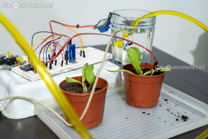 Futuros ingenieros de la UCM apoyan a empresas locales con innovadoras soluciones tecnológicas