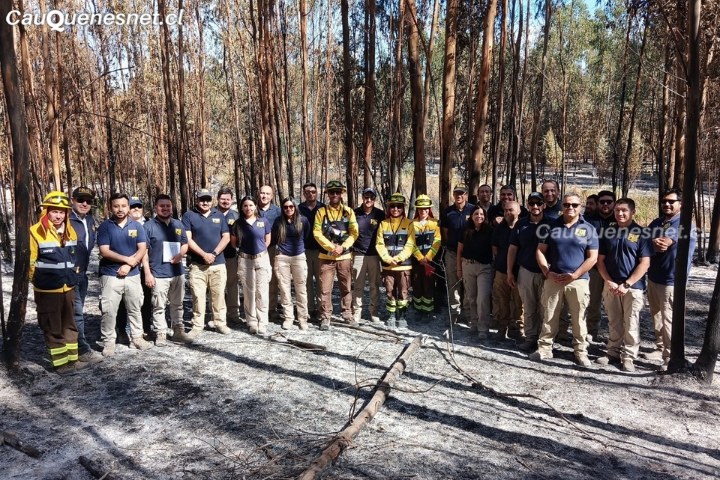 Capacitación en investigación de incendios forestales: CONAF Maule y PDI fortalecen colaboración
