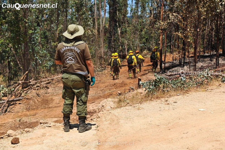 La policía investiga las reales causas del incendio La Raya en Cauquenes
