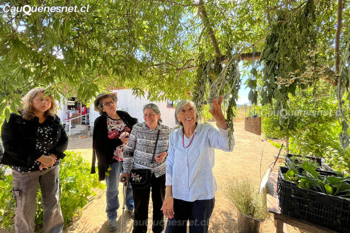 Mujeres rurales de la región del Maule, participan en intercambio de experiencias en el uso de plantas medicinales